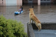 General Cerri, una de las localidades más afectadas por el temporal Foto: X @NestorCerri