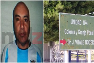 MDZol | Portada Molina Corvalán