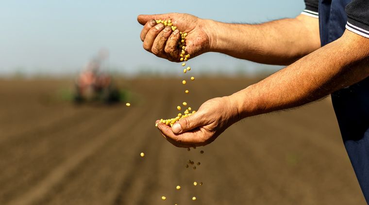 Foto: shutterstock.com