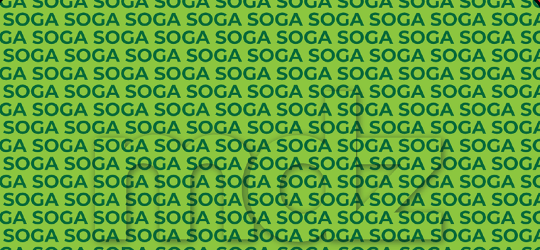 El secreto del acertijo visual, no está en mirar más fuerte, sino en aprender a mirar distinto.