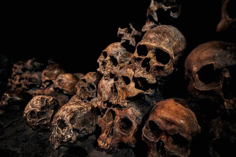 Imágen ilustrativa Foto: Shutterstock