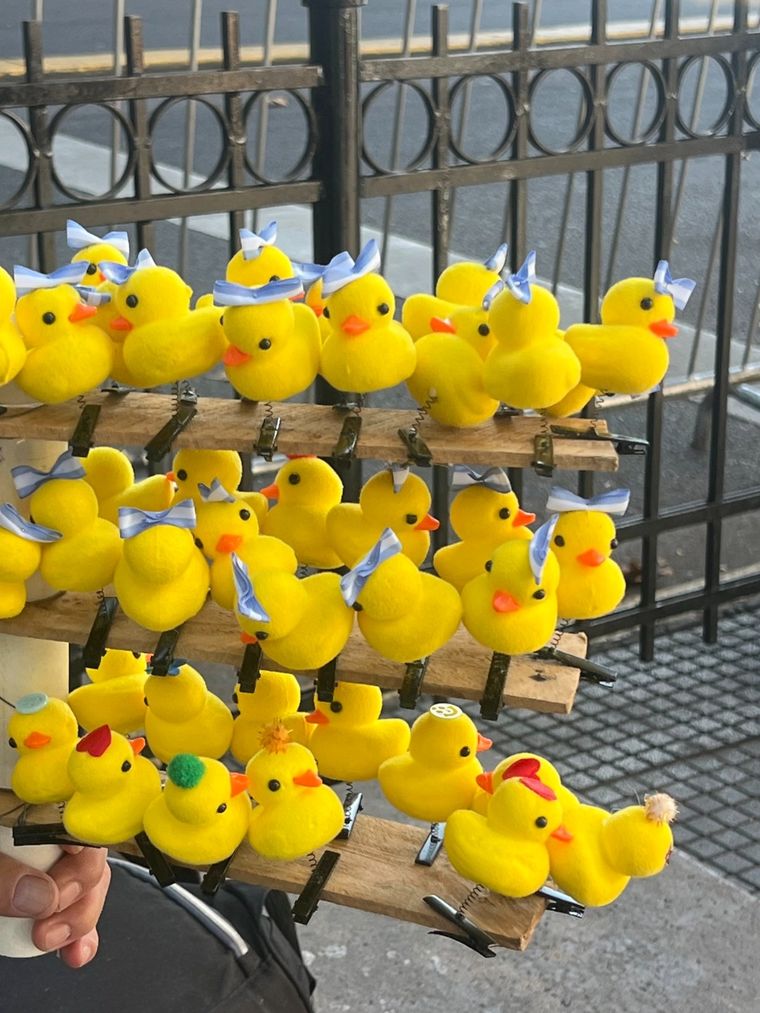 Los patitos kawaii son furor entre los jóvenes