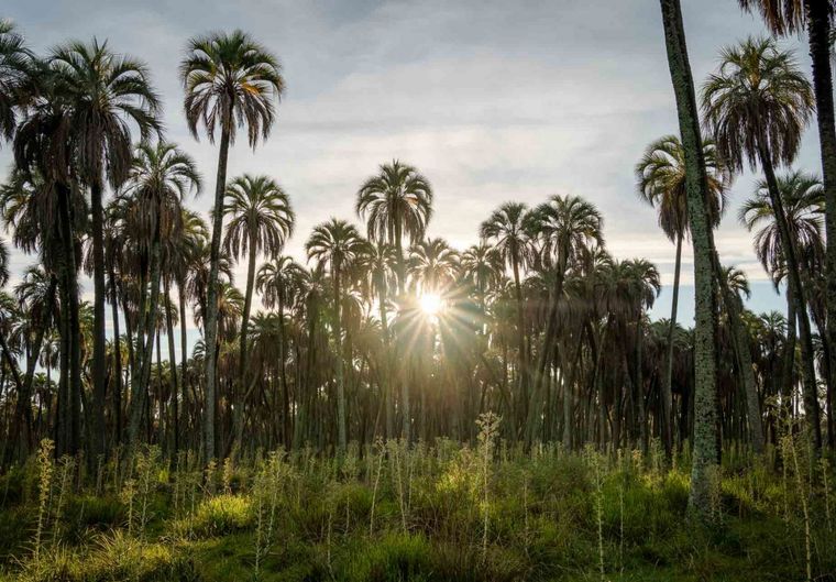 Un plan ideal para reconectar con la naturaleza en familia, sin alejarse demasiado de las grandes ciudades. Foto: La Ruta Nacional