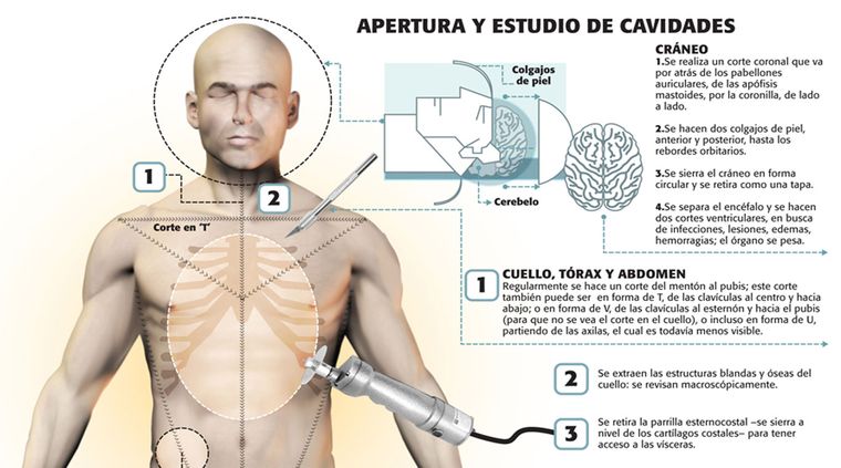 Foto: captura visual.ly