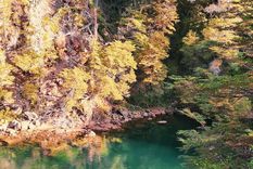 Una postal paradisíaca de este esplendoroso lugar. Foto: @elbolsonpatagonia