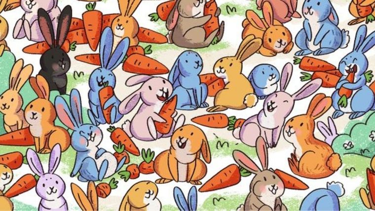 Acertijo visual, reto visual, cono Pinterest