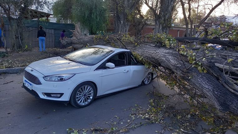 Una pareja se salvó de milagro: se encontraban en los asientos delanteros del vehículo Foto: MAXIMILIANO RÍOS/MDZ