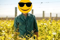 este es el enologo argentino del ano para un importante critico internacional