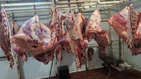 Parte de la carne secuestrada en un trozadero de Las Heras. Parte de la carne secuestrada en un trozadero de Las Heras.