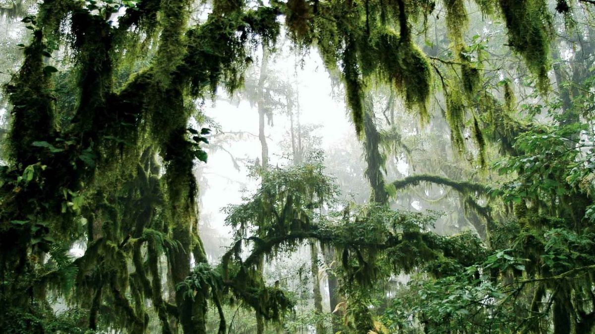 El paisaje de Jujuy que pocos tienen en el radar y parece de otro mundo