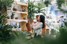 JARDÍN LAS PLANTAS LE DAN MÁS COLOR Y VIDA A CADA RINCÓN Foto: Pexels