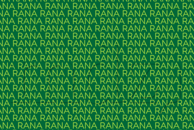 ACERTIJO VISUAL ACERTIJO VISUAL, RETO VISUAL, PALABRA Foto: MDZ ONLINE