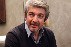 Ricardo Darín habló del accionar de la Justicia durante la cuarentena