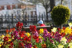 Foto: hogarmania.com