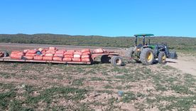 La víctima murió aplastado por un tractor mientras cargaba bolsas de ajo a un acomplado. La víctima murió aplastado por un tractor mientras cargaba bolsas de ajo a un acomplado.