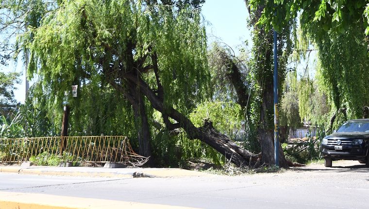 Foto ilustrativa. Foto: ALF PONCE MERCADO / MDZ