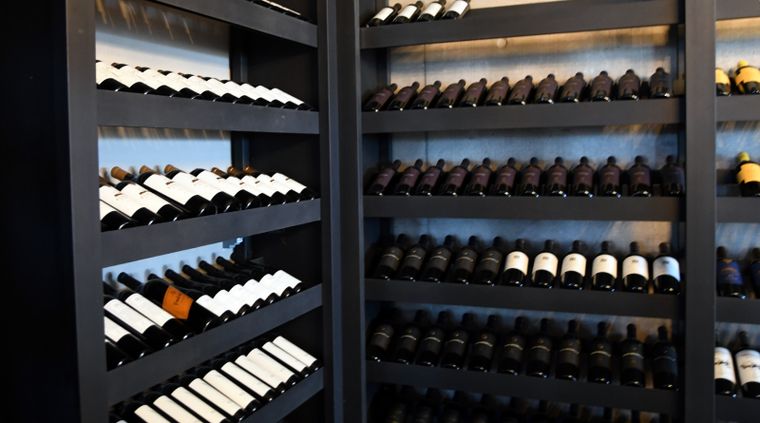 Potencial para el vino argentino Foto: ALF PONCE MERCADO / MDZ