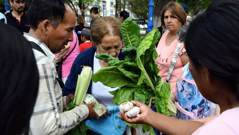 Productores entregarán frutas y verduras en la Ciudad de Mendoza para reclamar por el bajo precio.&nbsp;