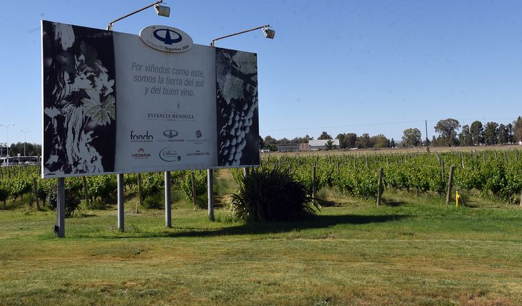 viñedos aeropuerto mendoza (2)