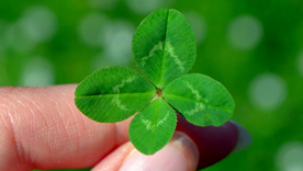 ¡Enterate de cuáles son y cómo pueden aprovechar esta etapa al máximo! Foto: Pixabay - pixabay.com