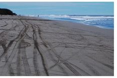 Esta playa es ideal para relajarse. Foto: argentina.viajando