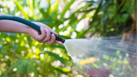 JARDÍN Gracias al riego, se le aporta agua a los cultivos por medio del suelo Foto: Shutterstock