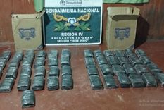 Efectivos de Gendarmería Nacional incautaron más de 48 kilos de marihuana Foto: Gendarmería Nacional Argentina
