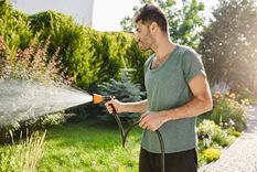 Para evitar que las plantas se marchiten, es necesario conocer el momento adecuado del día en el cual se  tienen que regar Foto: Freepik