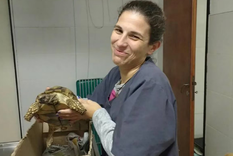 Leticia Peralta era veterinaria, docente y además tenía un emprendimiento de mantas tejidas Foto: Facebook Leticia Peralta