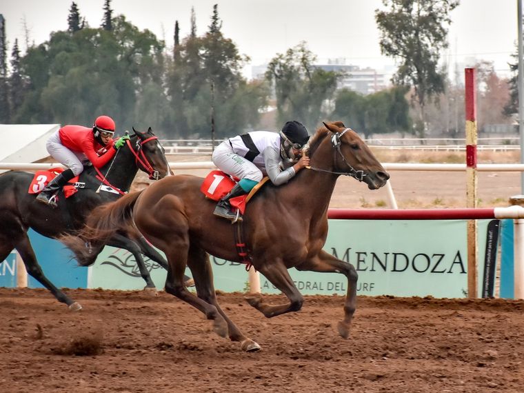 Stephen South está señalado como en principal enemigo del candidato Piccolo Veloce. Foto: Gentlieza José Maluf