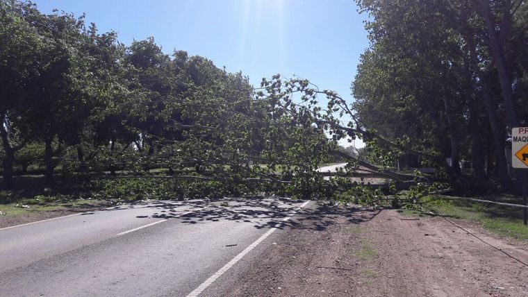 Foto: @javierbermejo12