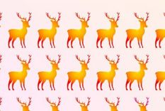 Este acertijo visual se caracteriza por su grado de dificultad Foto: Archivo MDZ