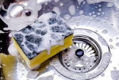 La esponja de la cocina es uno de los elementos con más gérmenes. Foto: GETTY IMAGES