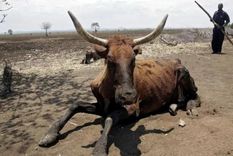 En Sudán del Sur, son habituales estos graves hechos. Foto: Efe. En Sudán del Sur, son habituales estos graves hechos. Foto: Efe.