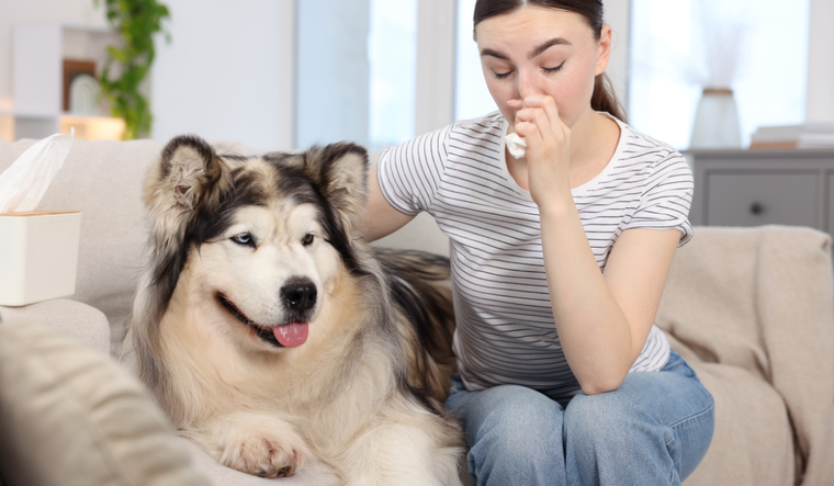 &nbsp;Los animales tienen la capacidad de percibir señales que se escapan de lo humano.