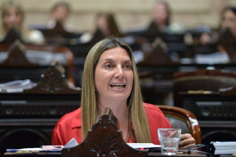 La diputada nacional del PRO Silvia Lospennato brindó detalles sobre la conversación que tuvo con el presidente Javier Milei tras la caída de la sesión para tratar el proyecto de Ficha Limpia. Foto: X (@DiputadosAR)
