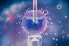 Uno de los premios lo recibió una startup que creó un dispositivo médico que facilita el proceso de inseminación intrauterina.