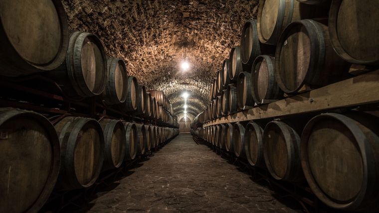 Vuelve Bodegas Abiertas el programa para que los mendocinos puedan visitar y experimentar en las bodegas.