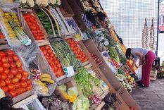 Foto: Archivo MDZ Foto: Archivo MDZ