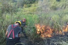 Casi la totalidad de los incendios en Misiones fueron originados por el hombre. Foto: Misiones Opina