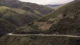 El reino de los afrobolivianos se encuentra en la región de los Yungas. Foto: getty images