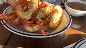 Langosta del Pacífico