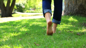 30% de cobertura vegetal en los barrios: el verde que todos necesitamos, te contamos los detalles en la nota Foto: Shutterstock