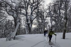 En Cerro Catedral las intensas nevadas han dejado paisajes que sorprenden Foto: Gentileza Manuel Stahringer