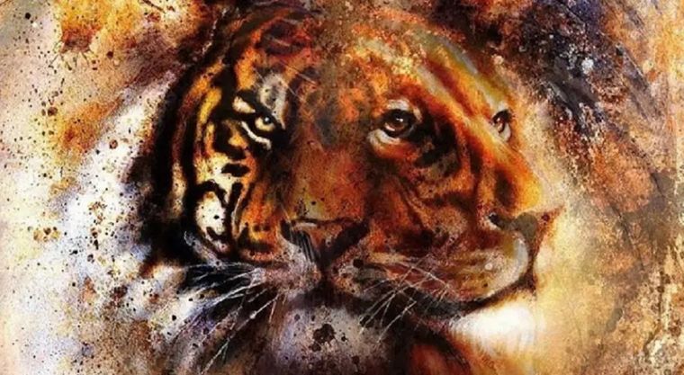 Test de personalidad