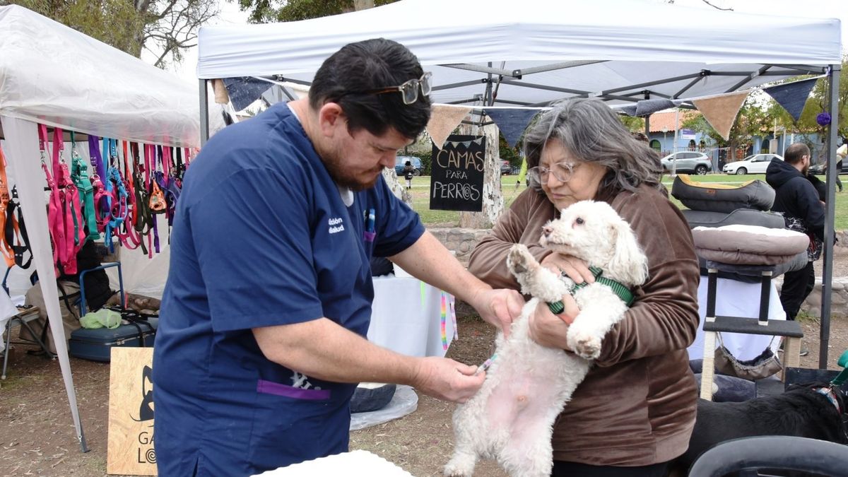 Guaymallén impulsa una jornada de salud animal con atención gratuita para perros y gatos