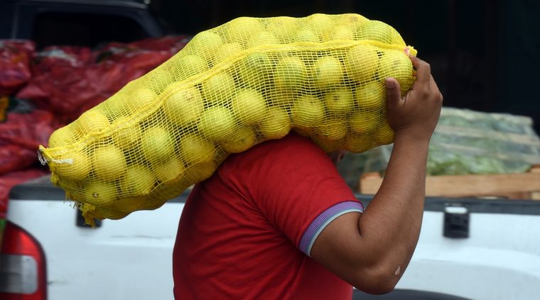 Comer sano es más barato. Foto: ALF PONCE MERCADO / MDZ