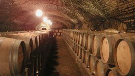 La bodega Chandon amplía su equipo de trabajo.  La bodega Chandon amplía su equipo de trabajo.