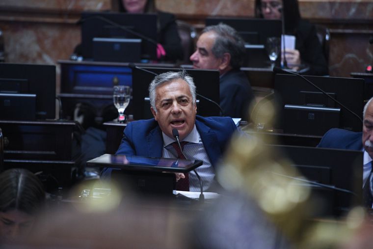 Foto: X @SenadoArgentina