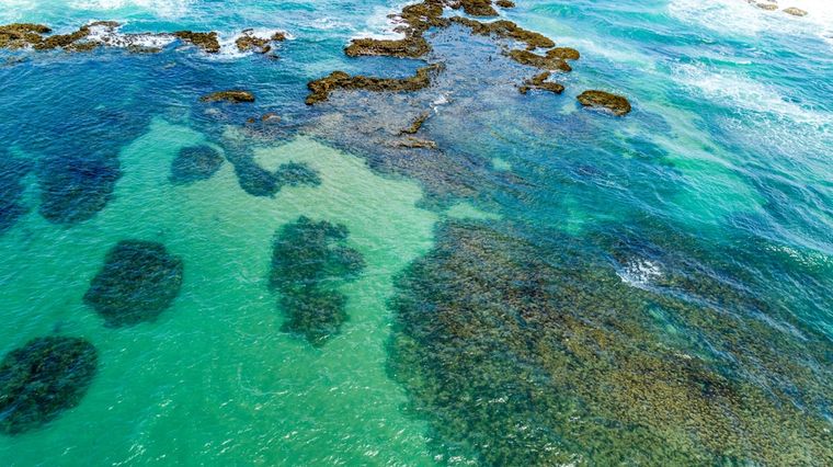 Los arrecifes naturales forman piscinas cristalinas donde se observan peces de colores durante la marea baja. Foto: Shutterstock Los arrecifes naturales forman piscinas cristalinas donde se observan peces de colores durante la marea baja. Foto: Shutterstock